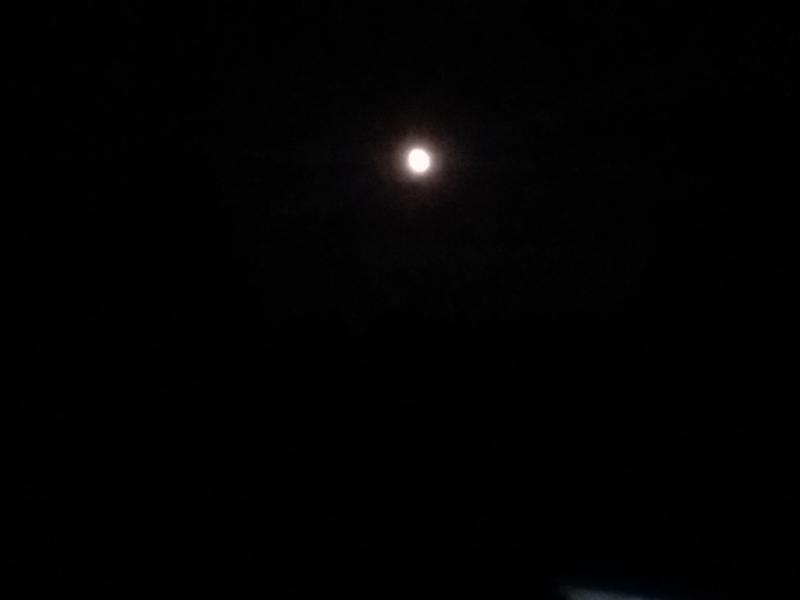 The moon. (Photo by Sarah Thompson)