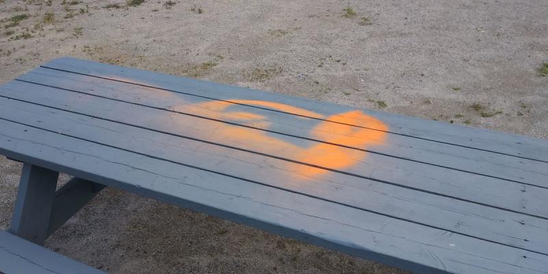 Waterfall Arts had multiple items spray-painted orange, from a rock bench to picnic tables, even several flowers were painted orange. (photo by Erica Thoms)