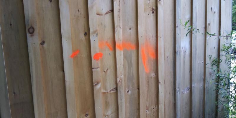 Waterfall Arts had multiple items spray-painted orange, from a rock bench to picnic tables, even several flowers were painted orange. (photo by Erica Thoms)