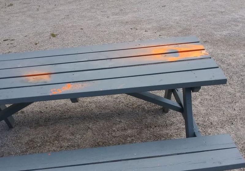 Waterfall Arts had multiple items spray-painted orange, from a rock bench to picnic tables, even several flowers were painted orange. (photo by Erica Thoms)