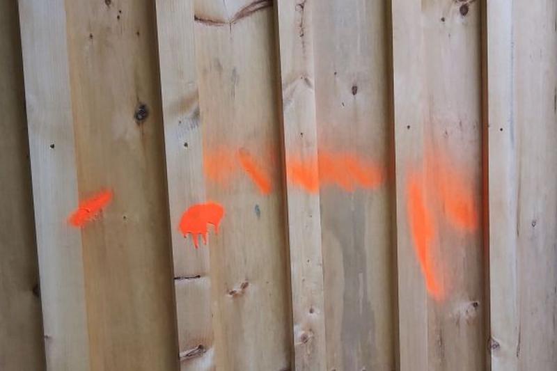 Waterfall Arts had multiple items spray-painted orange, from a rock bench to picnic tables, even several flowers were painted orange. (photo by Erica Thoms)