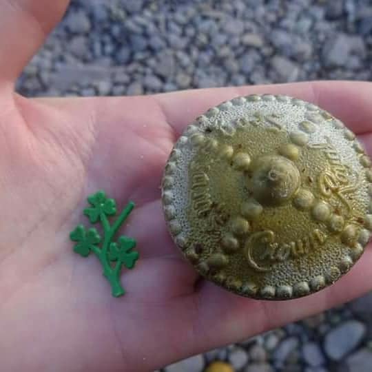Intriguing pieces of plastic (Photo courtesy Rosemary Hill)