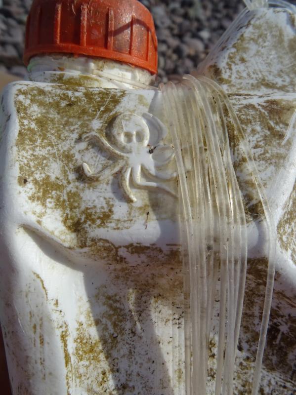 A bleach jug has Hill mystified as to its origin. (Photo courtesy Rosemary Hill)
