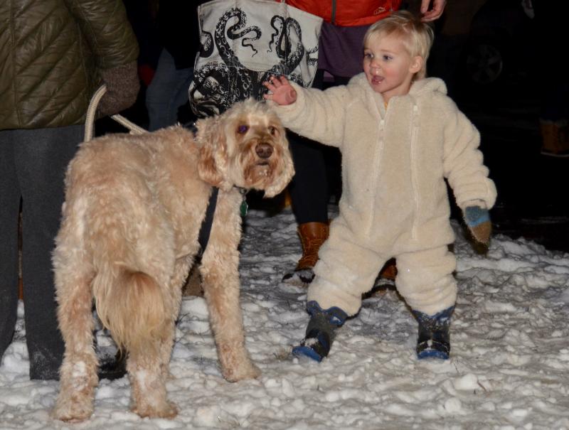 Dogs and toddlers got to know each other. (Photo by Lynda Clancy)