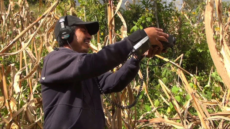 Video documentation of traditional Totontepec corn cultivation helped scientists crack a scientific mystery. (Photo courtesy Speaking Place)