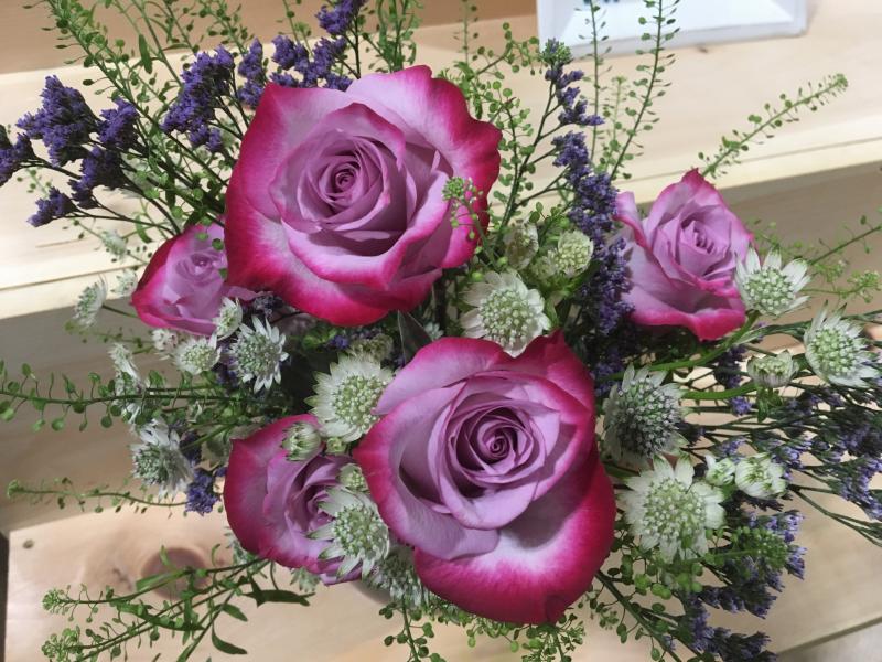 valentine%20roses.JPG