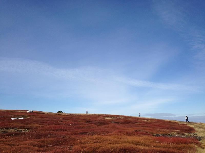 Update: Beech Hill Preserve announced on April 1 it was re-opening to the public with important changes.