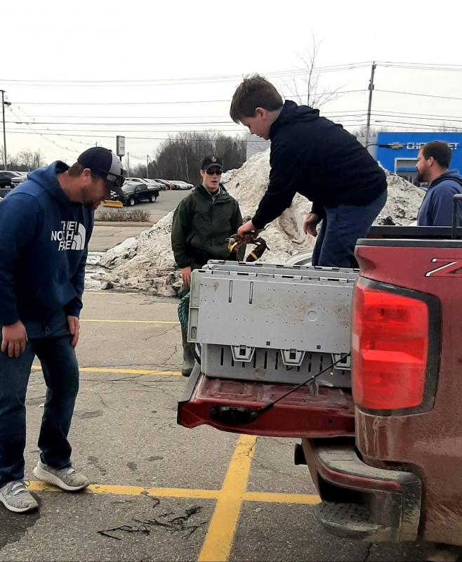In Belfast, multiple trucks unloaded lobsters and crabs for 200 people. Photo by Ali Farrell