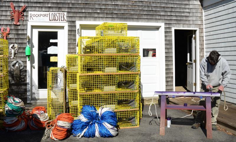 Maine lobstermen spray-paint trap lines for whale entanglement