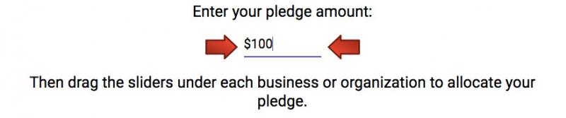 pledge.jpg