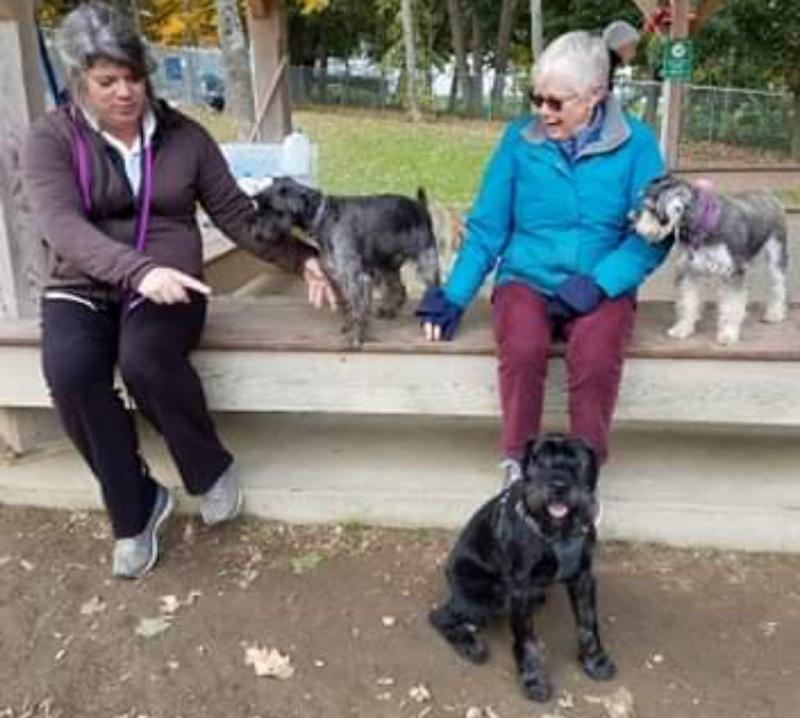 More social time at the dog park. (Photo courtesy of Julie Clement)