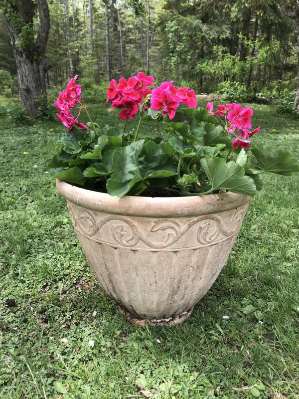 (Photo courtesy Debra Drake)