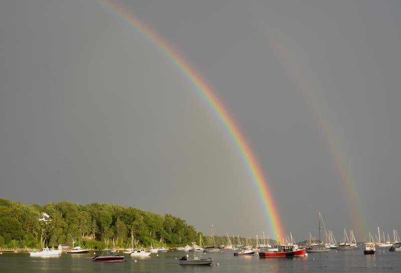 (Photo by Lynda Clancy)