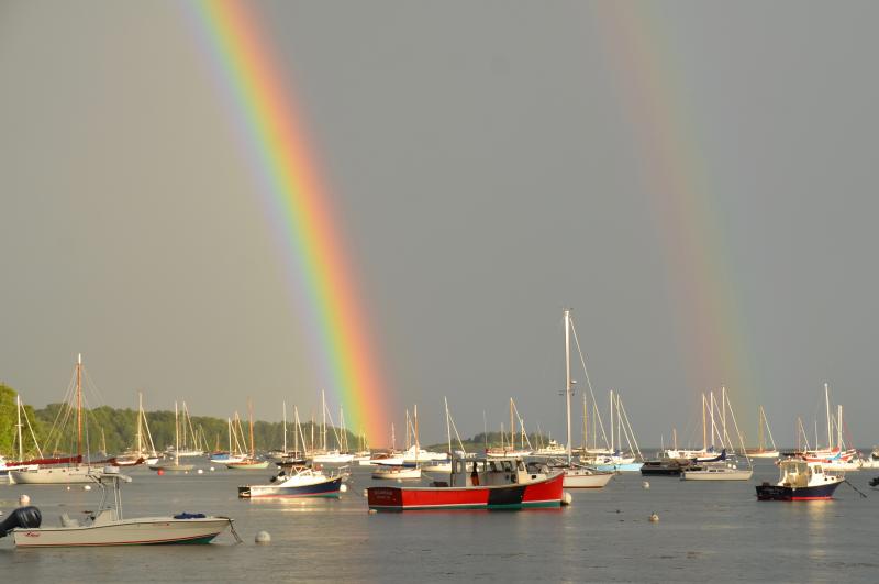 (Photo by Lynda Clancy)