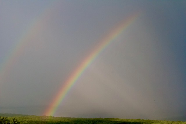 After the storm!! (Photo by Roger Wickenden)