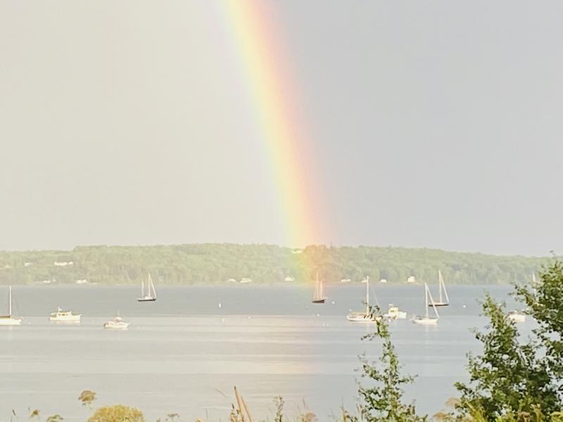 Rockland Harbor (Photo courtesy Jeanie’s granddaughter)