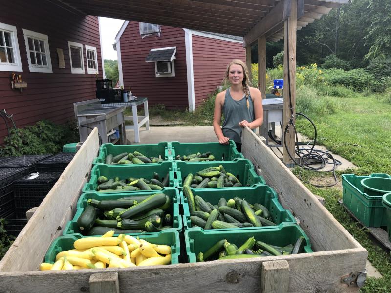 2020 MOFGA Apprentice, Liv Caron, gets ready to unload a cart of zucchinis and summer squash from Erickson Fields to be delivered to area food pantries. (Photo courtesy Maine Coast Heritage Trust)