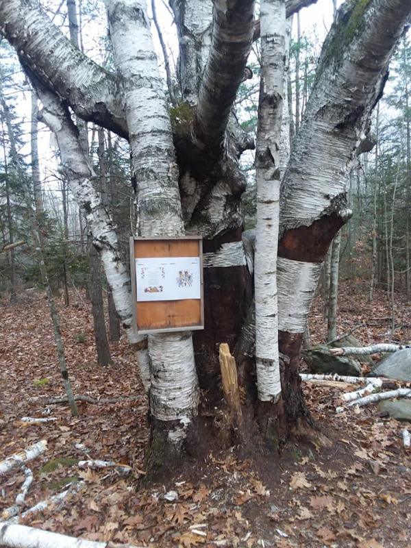 Do a Trsut Walk until you get to each sign post. Photo by Kay Stephens