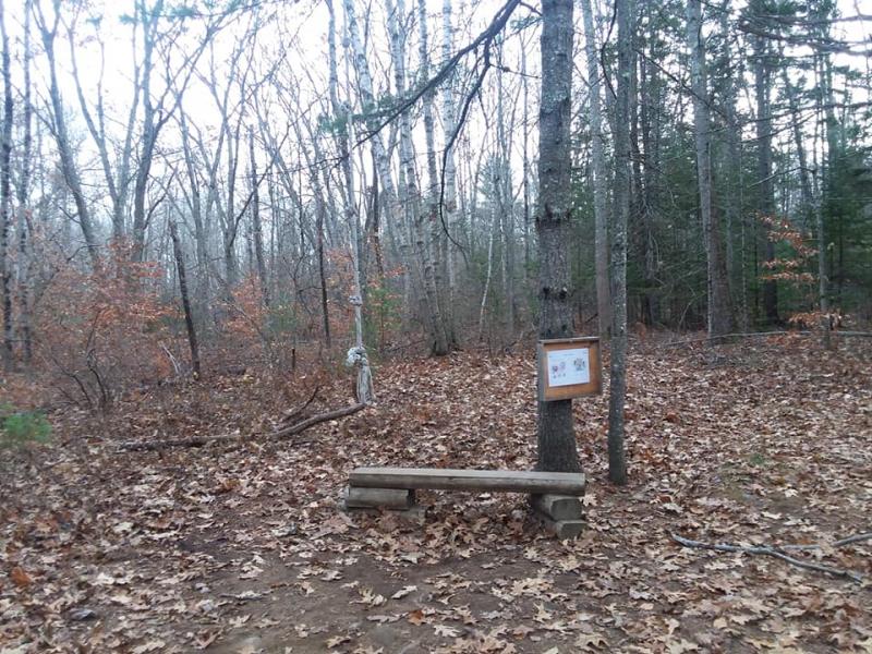 Along the 1.4 loop trail are pages of Liza Gardner Walsh’s latest children’s book, “The Fall Fairy Gathering.” Photo by Kay Stephens