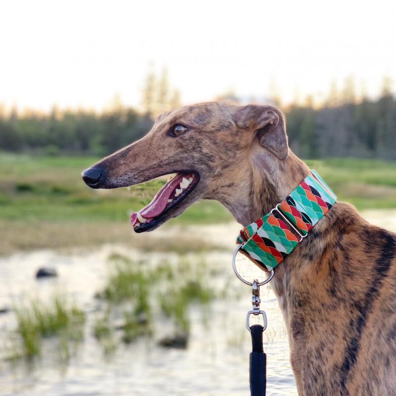 A collar produced by Vinalhaven’s An Hanna. (Courtesy photo)