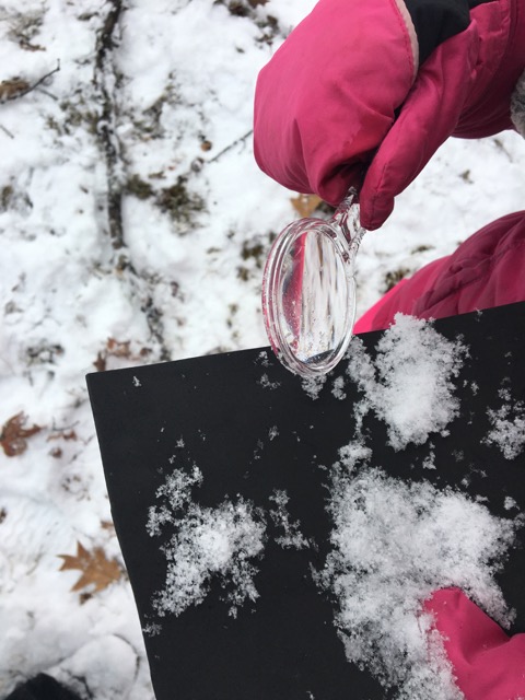 (Photo courtesy Maine Environmental Education Association (MEEA))