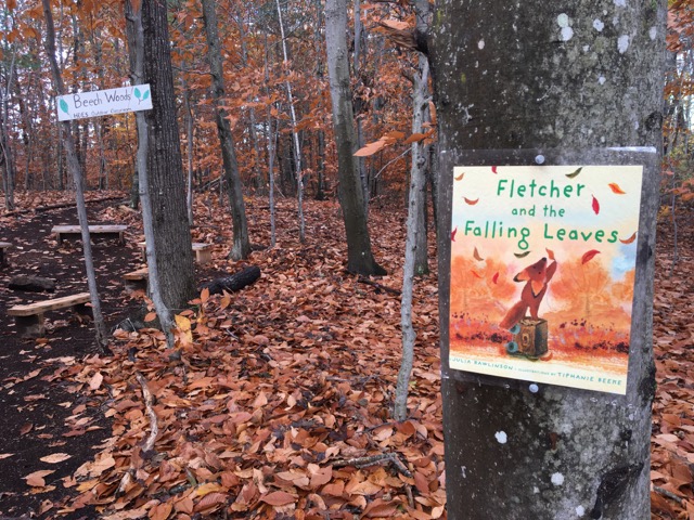 (Photo courtesy Maine Environmental Education Association (MEEA))
