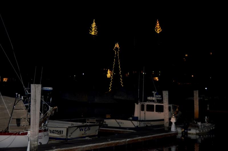 Camden Harbor.