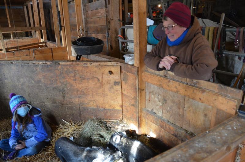 Cheryl Denz, owner of Terra Optima Farm, discusses the next steps for the pigs, when they can go to their new home.