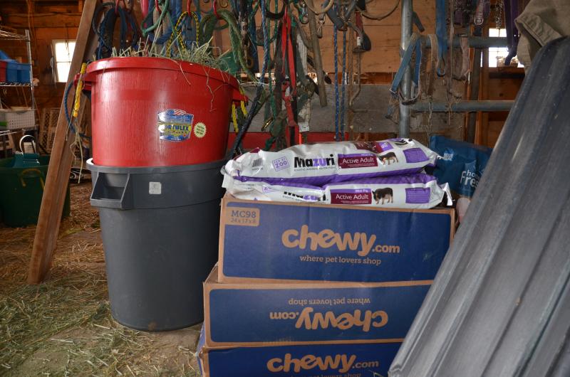 Already, donations have poured in — bags of pig chow and cartons of oatmeal, for Noel and Christopher.