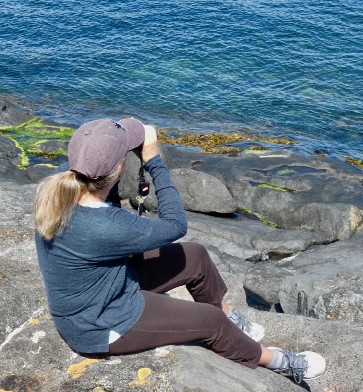 Kristen Lindquist birding on Monhegan Island. (Courtesy Paul Doiron)