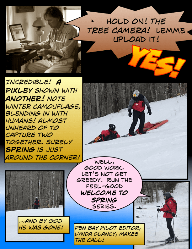 Page_8-1.png