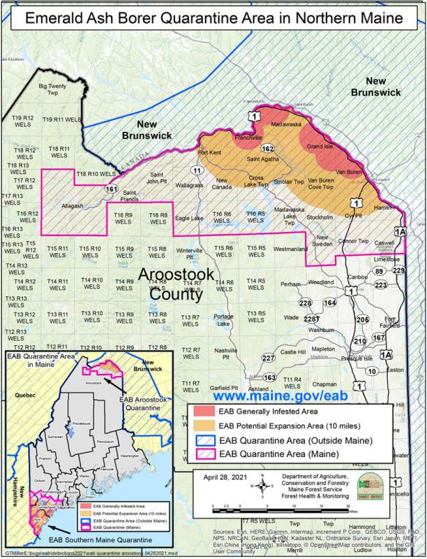 Emerald ash borer map. (Courtesy Maine Department of Agriculture, Conservation and Forestry