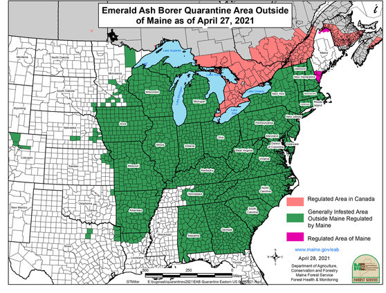 Featured image of post Steps to Prepare Emerald Ash Borer Map Canada