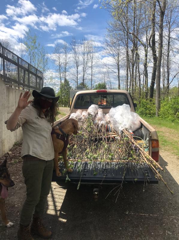 Fedco Fruit Tree donation