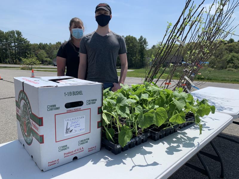 Little River Food Pantry receives JSS cucumber seedlings, Fedco apple trees, and greens. (Photo courtesy Waldo County Bounty)