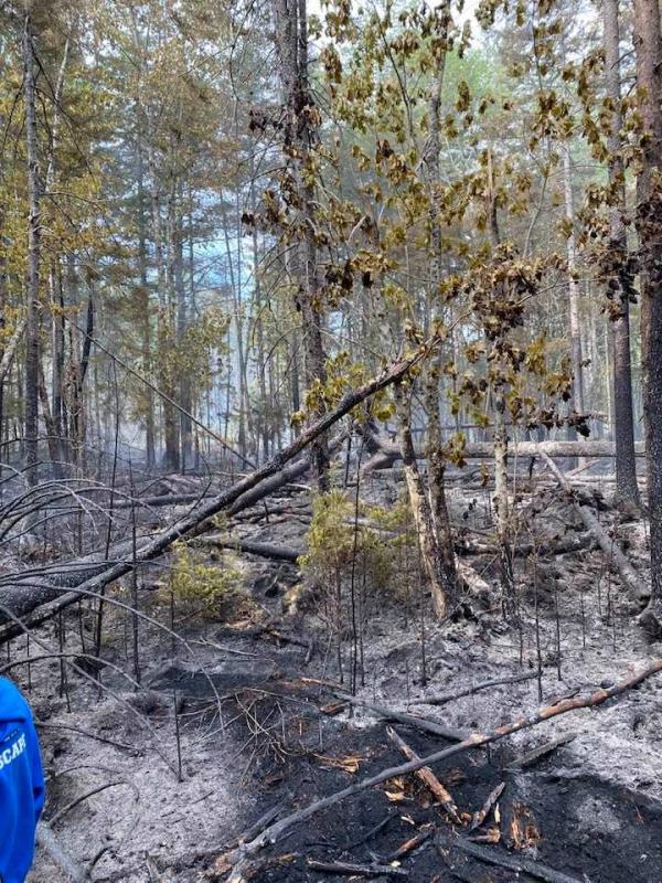 (Photo courtesy Thomaston firefighter Jamie Leo)