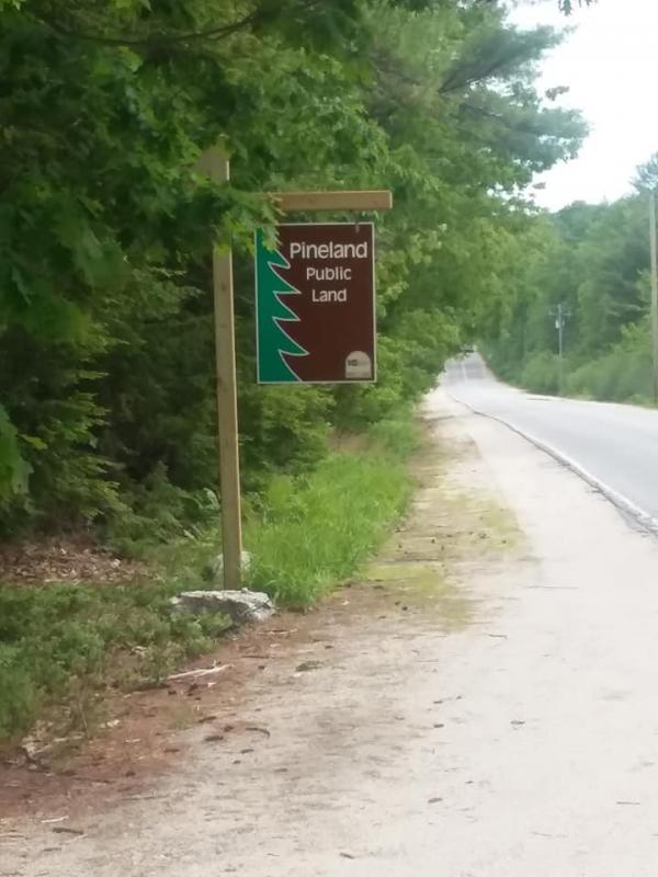 Pineland Public Preserve. Photo by Kay Stephens