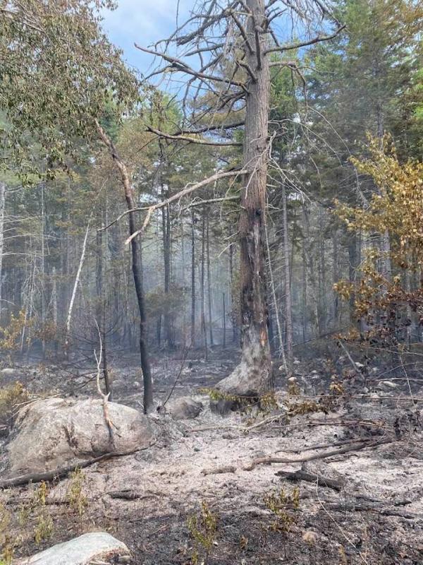 (Photo courtesy Thomaston firefighter Jamie Leo)