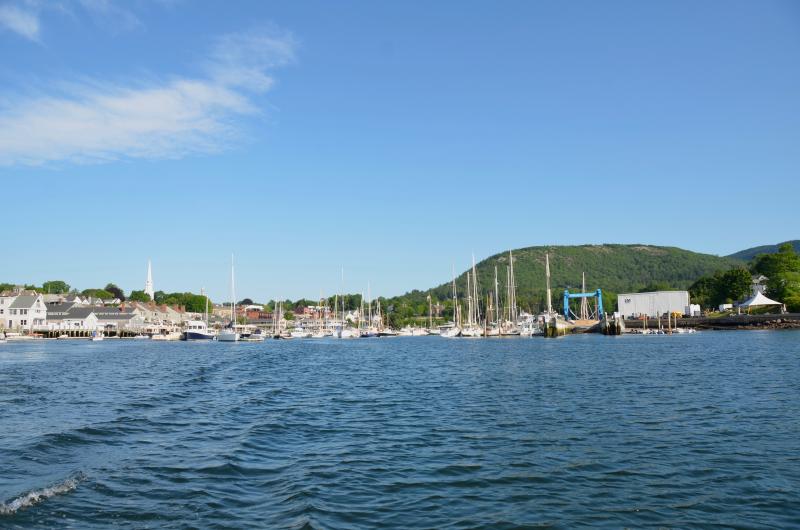 Camden Harbor, July 23.