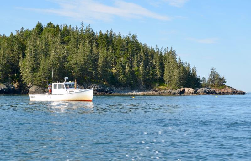 The ‘Mystery’ checking traps in Vinalhaven waters.