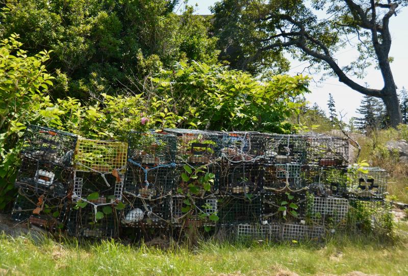 The tools of the trade, at rest on Vinalhaven.