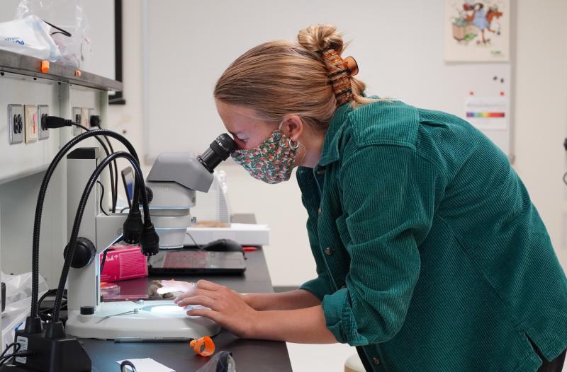 (Photo courtesy University of Maine Hutchinson Center)