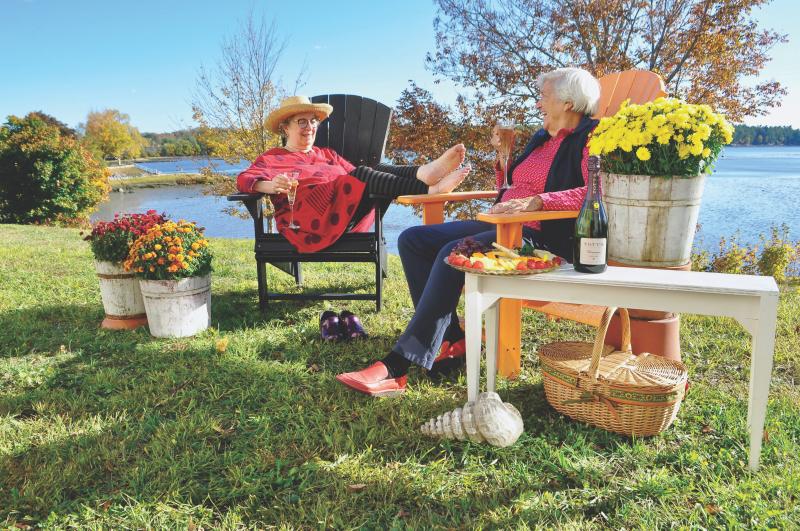 The Lincoln Home, Assisted Living, Midcoast Maine, Memory Loss care, Waterfront Retirement Liiving, Private Duty Home Service, Dementia, Memory Impairment Care, Independent and Assisted Living, Continuum of Care, Newcastle, Wellness Support, Damariscotta River, Memory Loss, Compassionate Caregivers, One2One Care, Certified Caregivers, Alzheimers Care, Lincoln County Senior Living Options