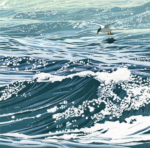 Sherrie York, “A Tern of the Tide”, linocut, 12x12. (Photo courtesy Pemaquid Art Gallery)