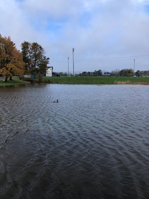 South School football field area. (Photo by Deb Shepard)