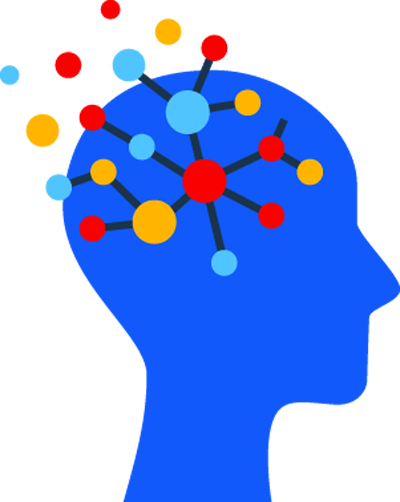 brain.jpg