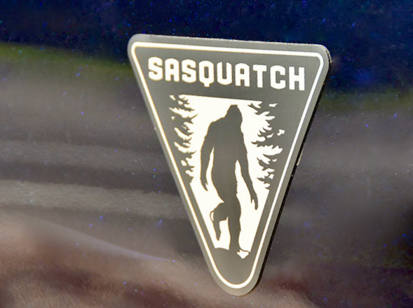 2021-ford-bronco-sasquatch-badge.jpeg