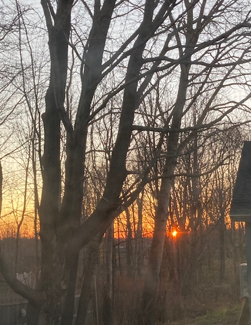 November sky (Photo courtesy Jane Schroeder)