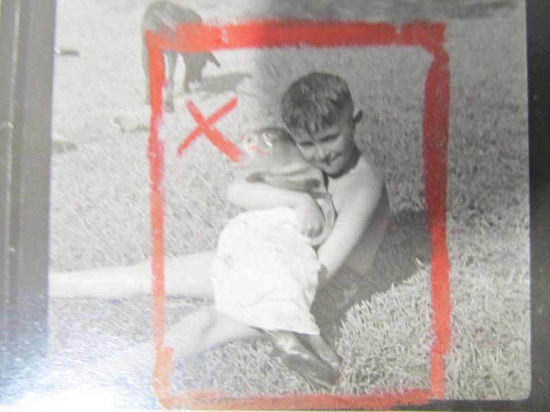 A photograph of a photograph originally taken by reporter Jim Moore of a boy in Rockland who found a baby seal on the beach on June 10, 1953. Photo by Kay Stephens