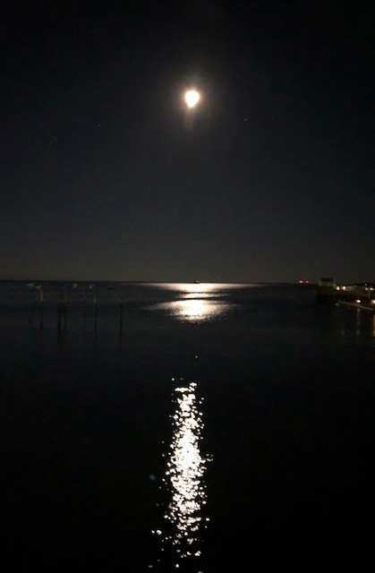 Christmas Full Moon. (Photo courtesy Carolyn Kanicki)